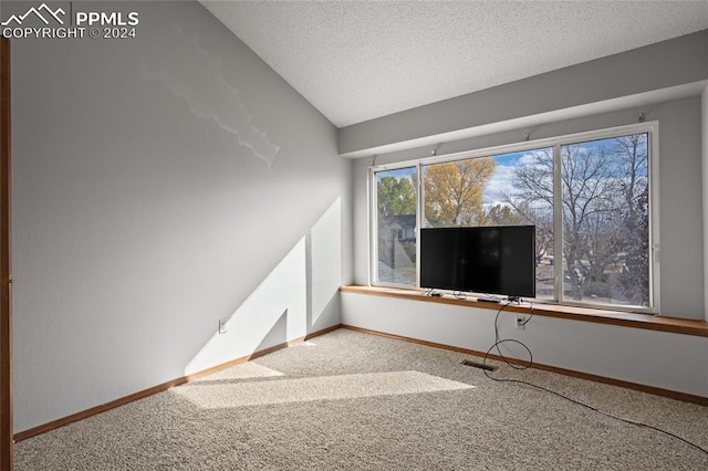 unfurnished living room with carpet, lofted ceiling, and a textured ceiling