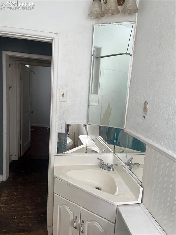 bathroom with toilet and vanity