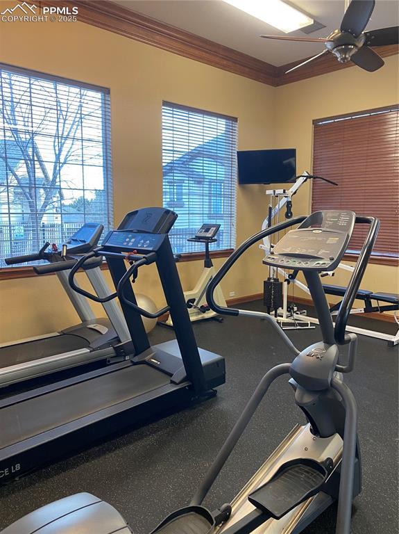 gym with ceiling fan and ornamental molding