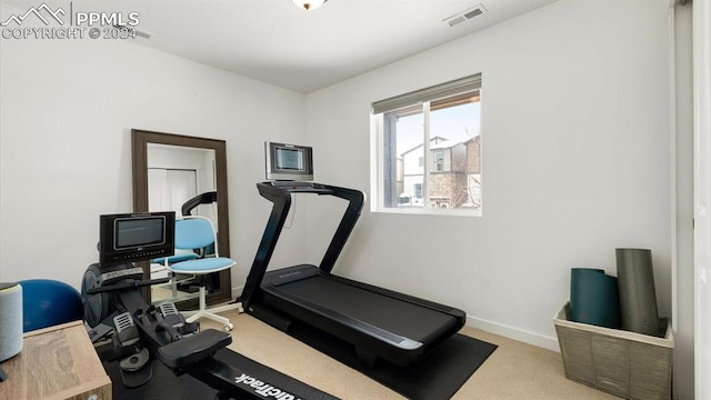 exercise area with light colored carpet