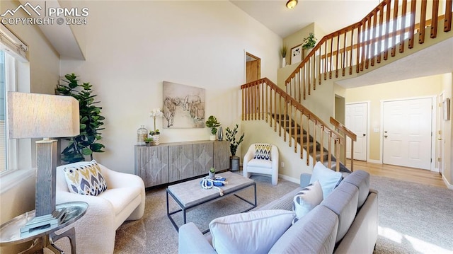 living room featuring a high ceiling