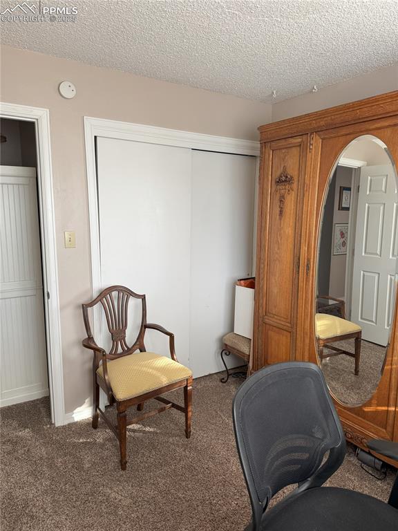 living area featuring carpet floors and a textured ceiling