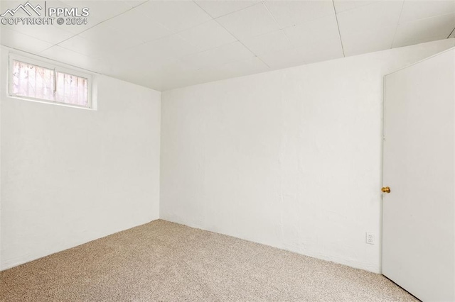 basement featuring carpet