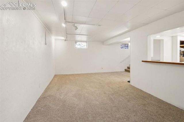 basement featuring carpet and track lighting