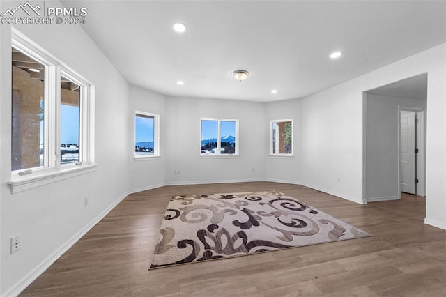 empty room featuring plenty of natural light and hardwood / wood-style flooring