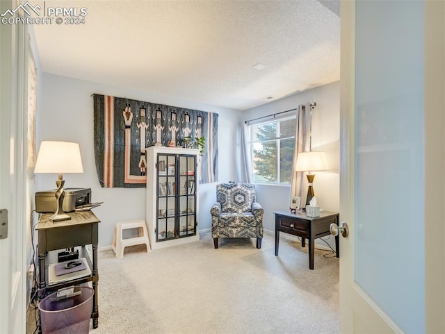 living area featuring carpet floors and a textured ceiling