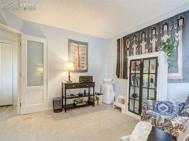 sitting room featuring carpet floors