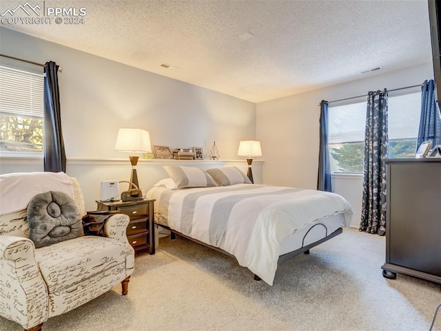 carpeted bedroom with a textured ceiling