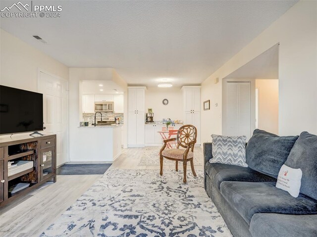 living room featuring light hardwood / wood-style floors