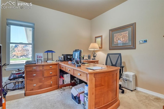 view of carpeted home office