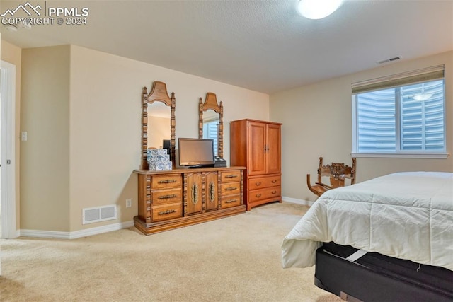 carpeted bedroom with multiple windows