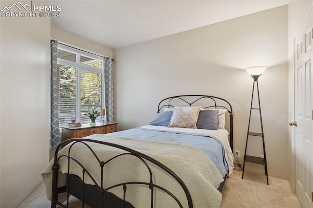 175 W Cheyenne Rd Unit 214, Colorado Springs, CO 80906 - bedroom with light colored carpet