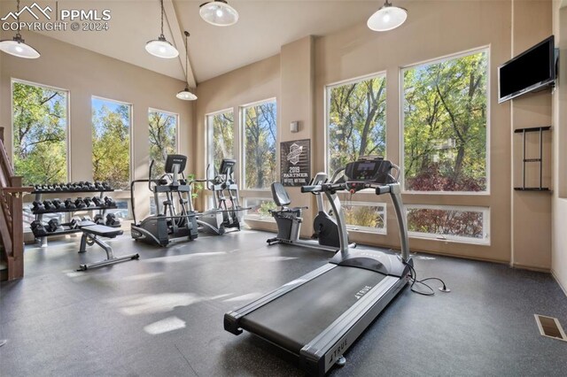 175 W Cheyenne Rd Unit 214, Colorado Springs, CO 80906 - exercise room with plenty of natural light and high vaulted ceiling