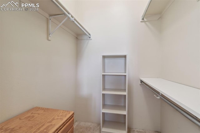 175 W Cheyenne Rd Unit 214, Colorado Springs, CO 80906 - walk in closet featuring carpet flooring