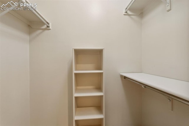 175 W Cheyenne Rd Unit 214, Colorado Springs, CO 80906 - view of walk in closet