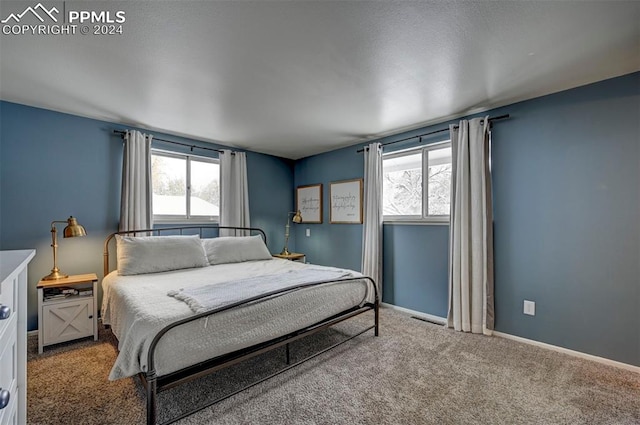 bedroom featuring carpet flooring