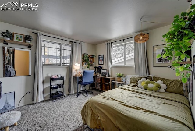 bedroom with multiple windows and carpet