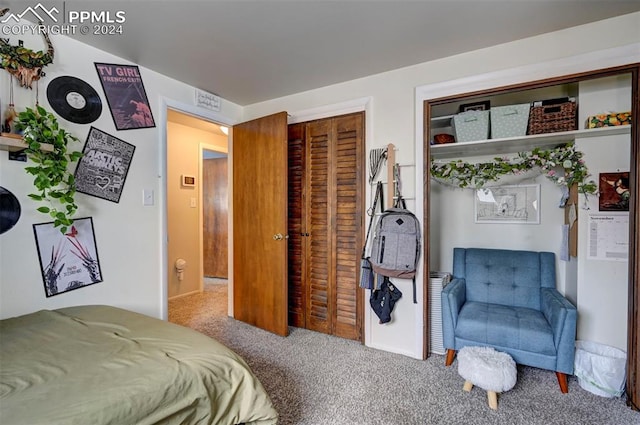 bedroom with carpet flooring and a closet