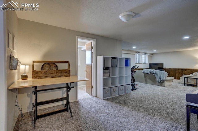 bedroom featuring a textured ceiling, carpet floors, and multiple windows