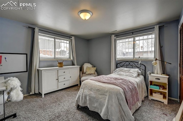 bedroom featuring light colored carpet and multiple windows