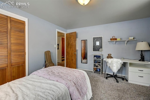 carpeted bedroom featuring a closet