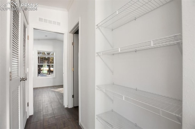 walk in closet with dark hardwood / wood-style floors and lofted ceiling