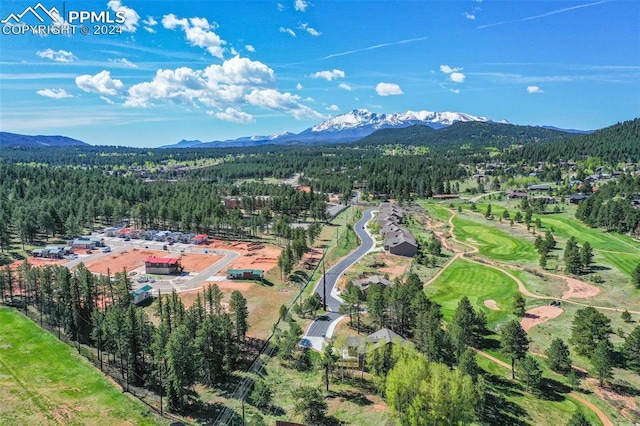 drone / aerial view featuring a mountain view