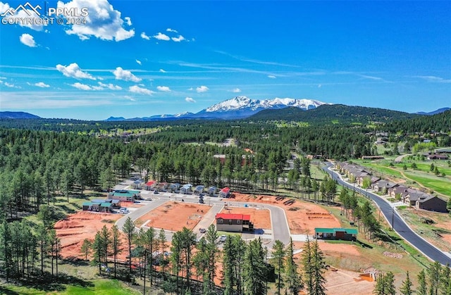 birds eye view of property with a mountain view