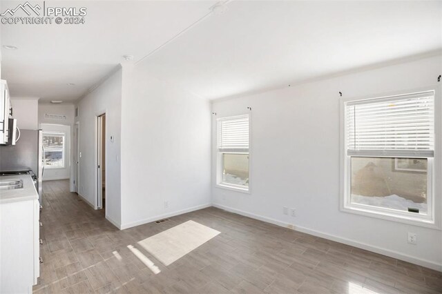 unfurnished room with light hardwood / wood-style flooring and plenty of natural light