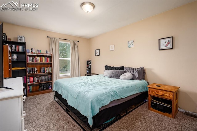 bedroom with light colored carpet