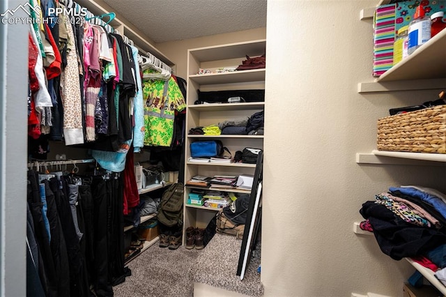 walk in closet with carpet