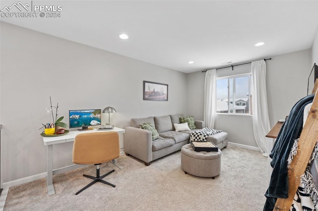 living room featuring light colored carpet