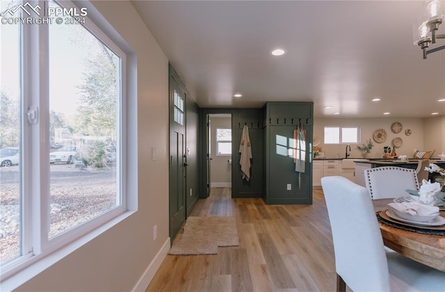 kitchen featuring sink, light hardwood / wood-style flooring, and green cabinetry