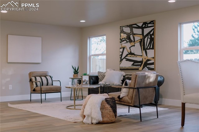 sitting room featuring a wealth of natural light and wood-type flooring