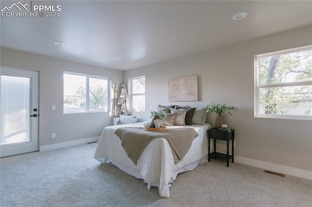 bedroom with light colored carpet and multiple windows