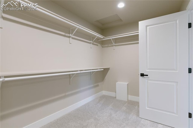 walk in closet featuring light carpet