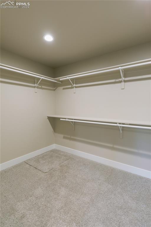 spacious closet with carpet