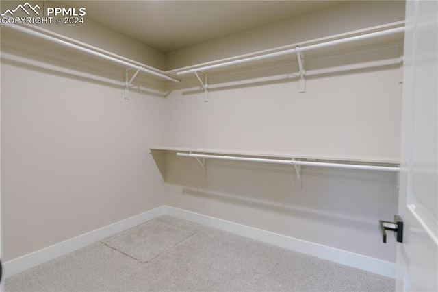 walk in closet featuring light carpet