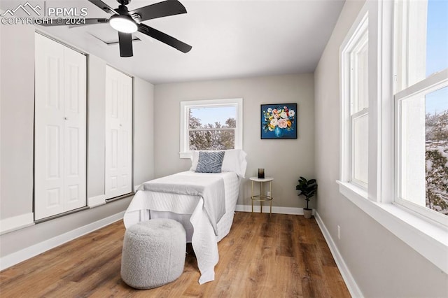 bedroom featuring ceiling fan and wood-type flooring