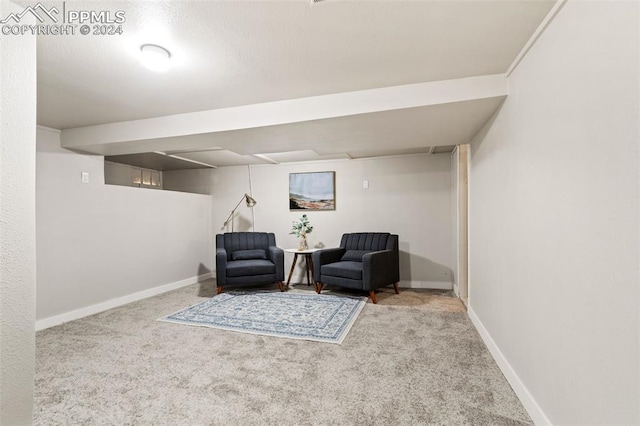 sitting room with light carpet