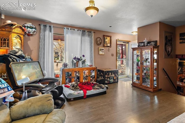 living room with a textured ceiling and hardwood / wood-style flooring