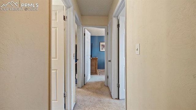 hallway featuring light carpet