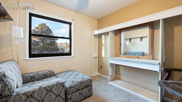 living area with a textured ceiling and light carpet