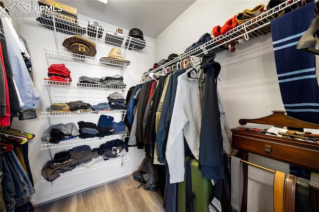 walk in closet featuring hardwood / wood-style flooring