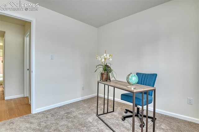 office featuring carpet floors