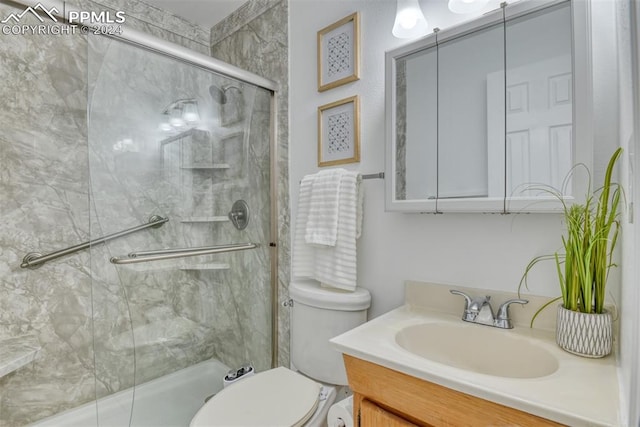 bathroom with vanity, an enclosed shower, and toilet