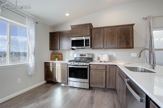 kitchen featuring stainless steel appliances, a wealth of natural light, sink, and vaulted ceiling