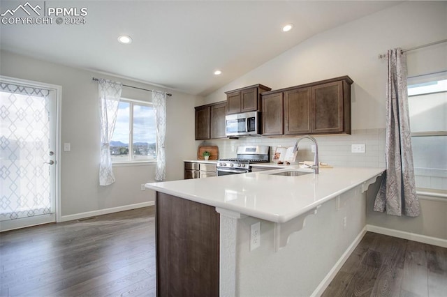 kitchen with stainless steel appliances, dark hardwood / wood-style floors, decorative backsplash, sink, and vaulted ceiling