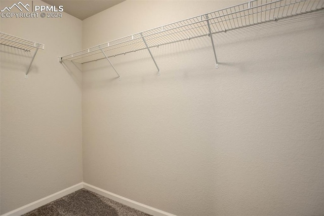 spacious closet with carpet