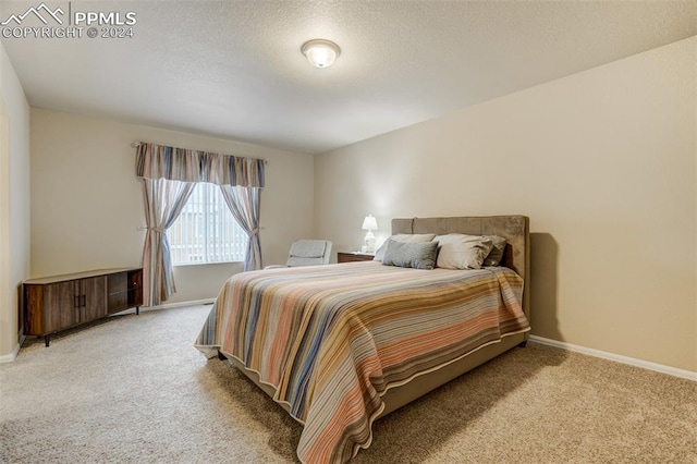 carpeted bedroom with a textured ceiling